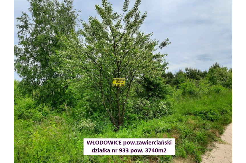 zawierciański, Włodowice, Jura tania działka rolna 3740m2 tylko 26.900zł