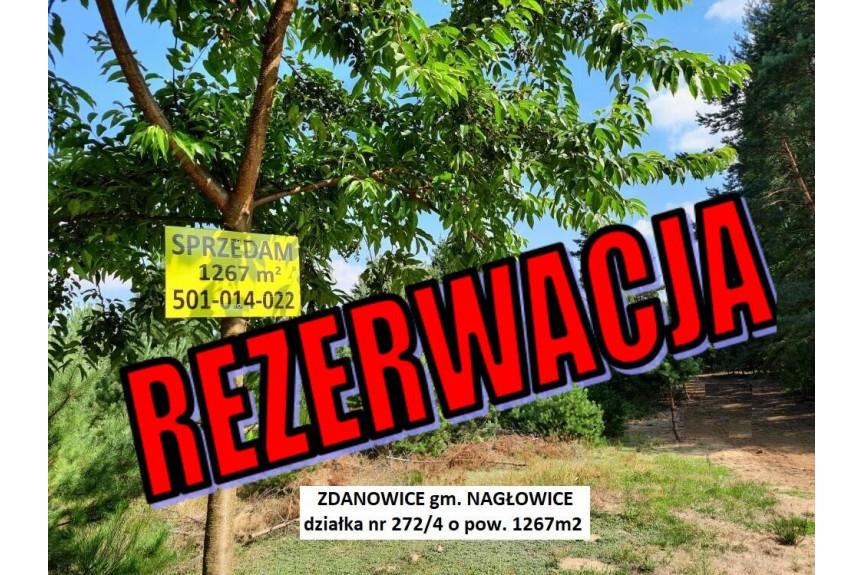 jędrzejowski, Nagłowice, Zdanowice, Działka rekreacyjna 1267m2 za 52.900zł