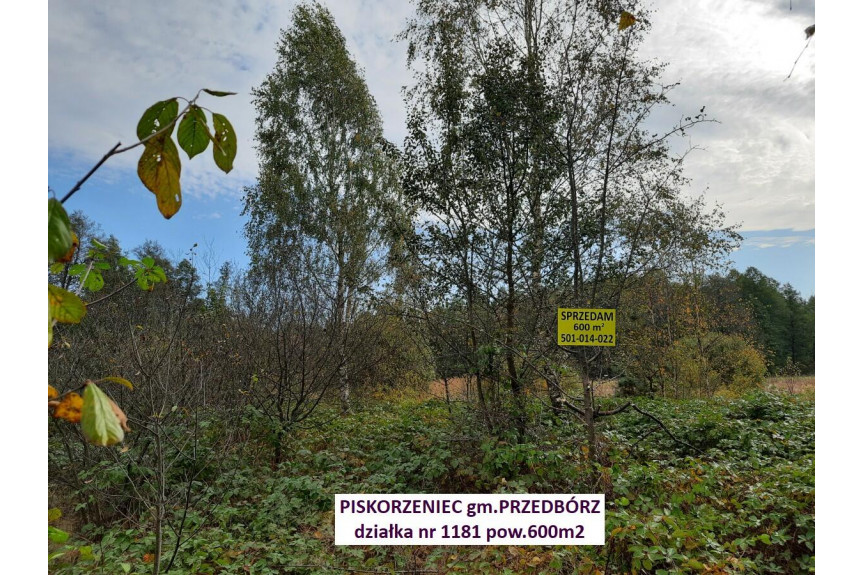 radomszczański, Przedbórz, Piskorzeniec, Tania działka rolna 600m2 tylko 5.900zł
