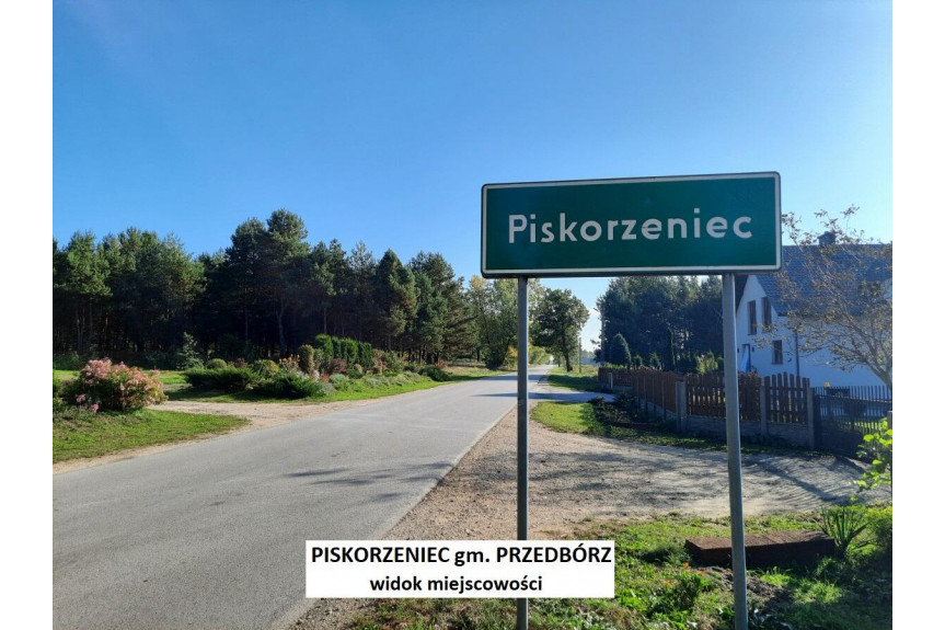radomszczański, Przedbórz, Piskorzeniec, Tania działka rolna  nr 1153 pow. 3300m2 tylko 9.900zł
