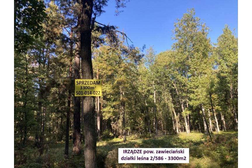 zawierciański, Irządze, Jura tania działka w lesie 3300m2 tylko 24.900zł