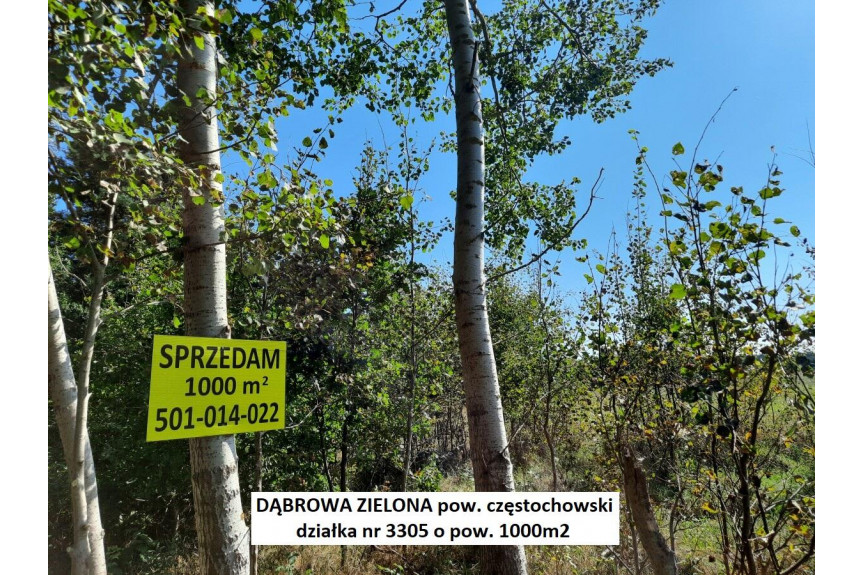 częstochowski, Dąbrowa Zielona, Jura tania działka 1000m2 tylko 9.500 zł