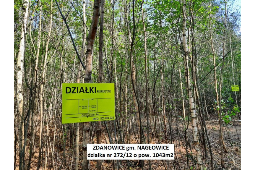 jędrzejowski, Nagłowice, Zdanowice, Tania działka rekreacyjna 1043m2 tylko 43.900 zł