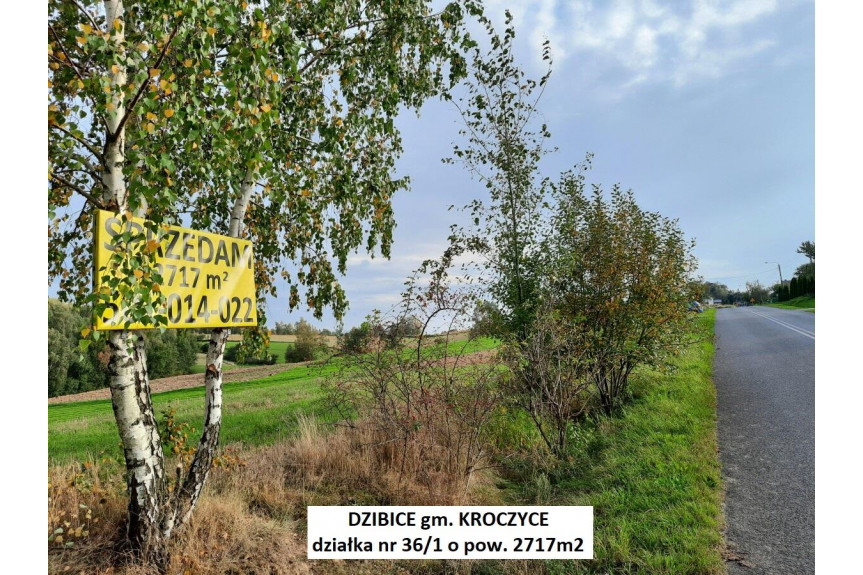 zawierciański, Kroczyce, Dzibice, Jura tania działka przy asfalcie 2717m2 89000zł