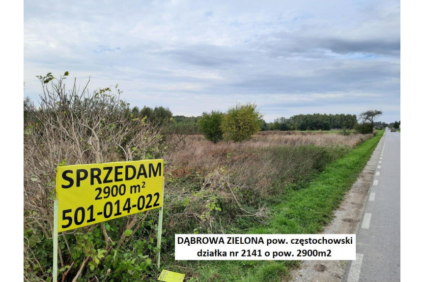 częstochowski, Dąbrowa Zielona, Jura tania działka 2900m2 przy asfalcie 22.900 zł