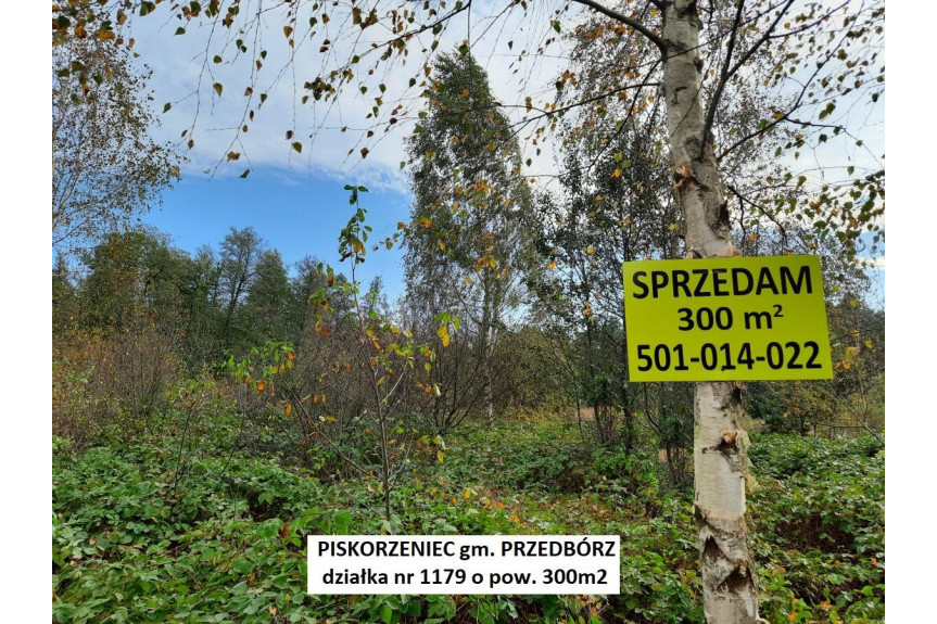 radomszczański, Przedbórz, Piskorzeniec, Tania działka rolna 300m2 tylko 2.900zł