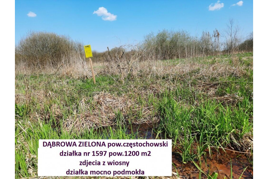 częstochowski, Dąbrowa Zielona, Jura tania działka 1200m2 tylko 6.000 zł
