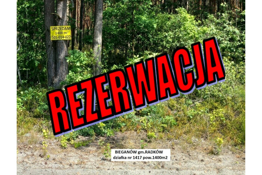 włoszczowski, Radków, Bieganów, Tania działka leśna 1400m2 tylko 12.900 zł